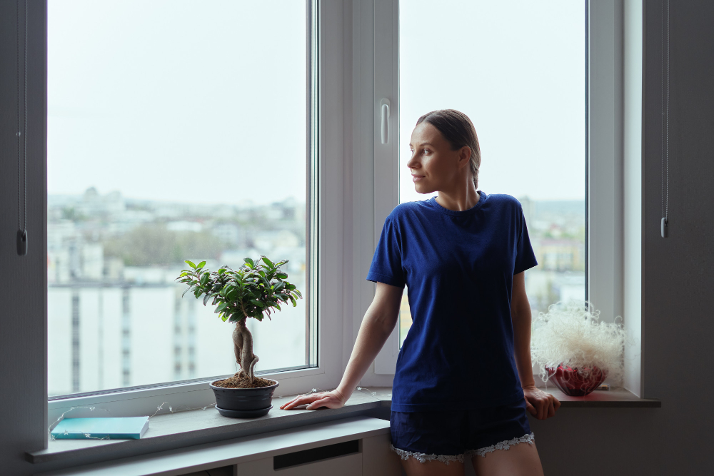 Destin Vinyl Windows